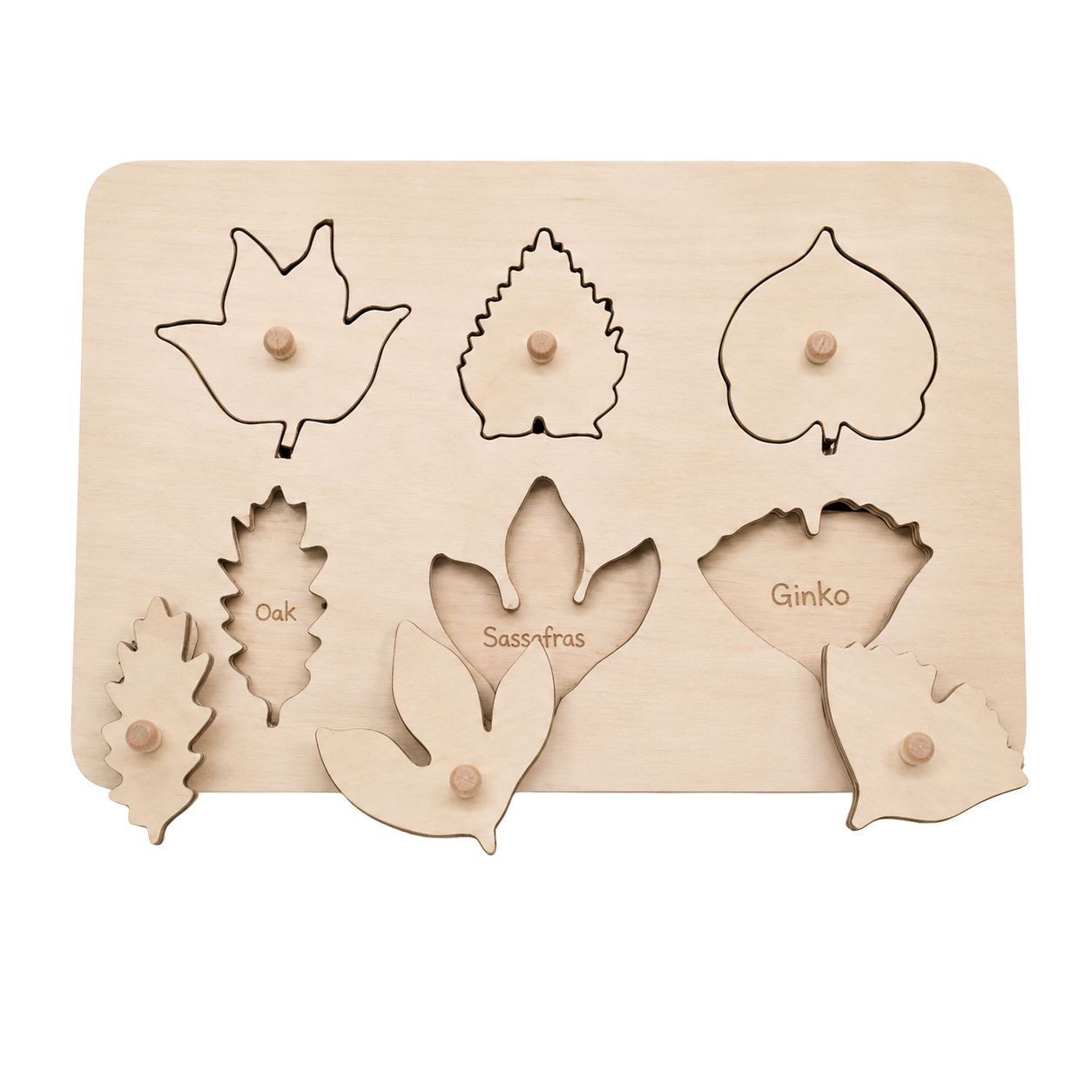 Peg Puzzle - leaves